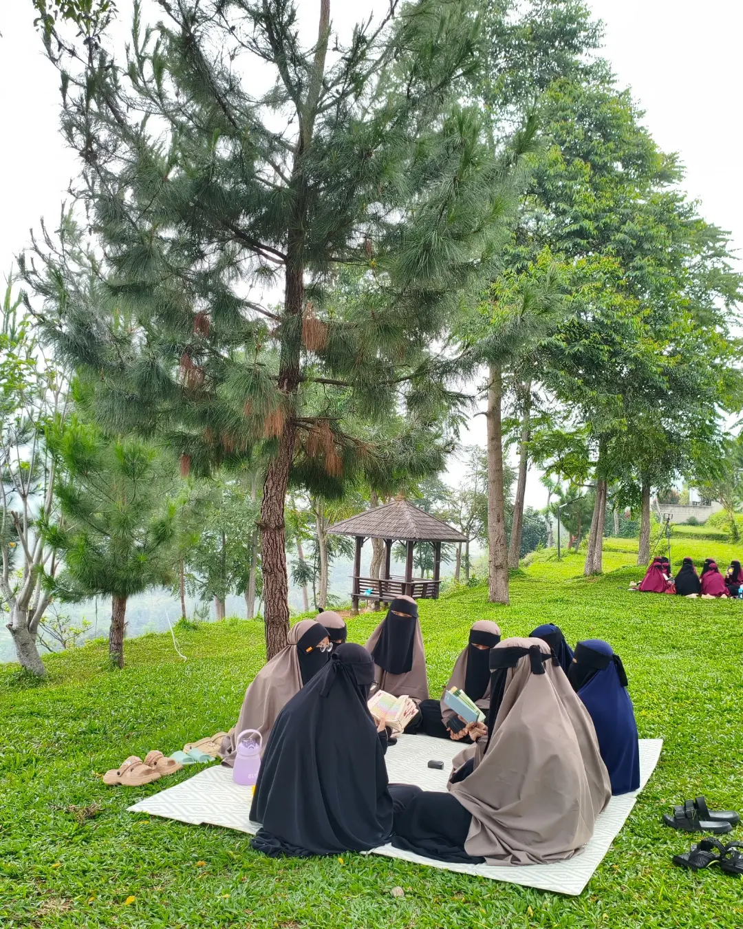 Pembinaan dan Pelatihan